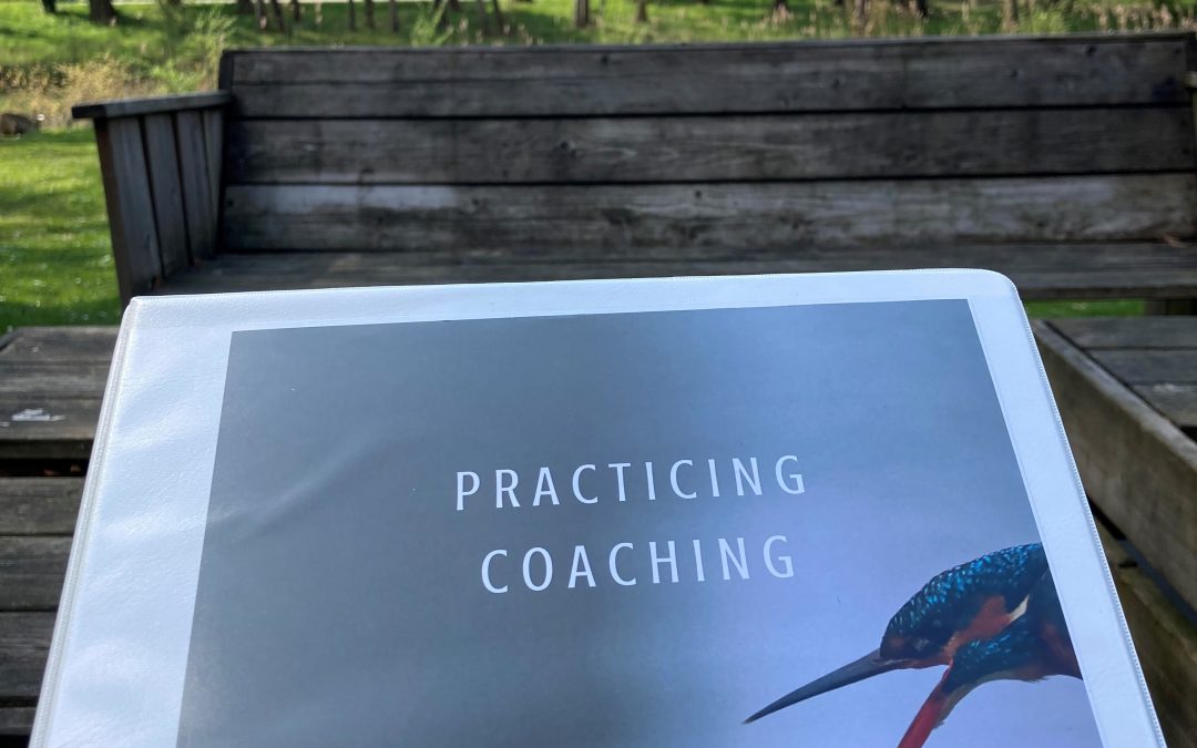 Practicing coaching at Olde Vechte Foundation in the Netherlands